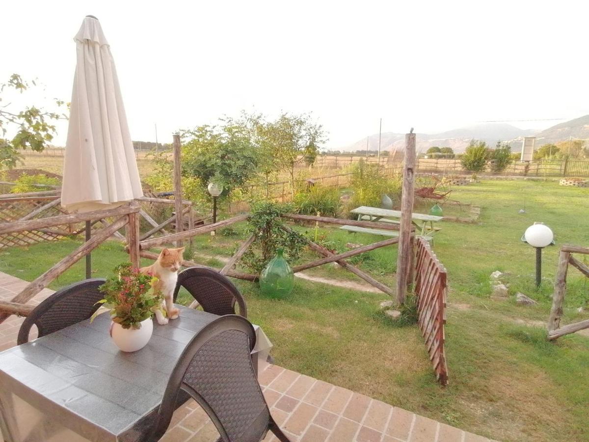 セルモネータ Casale Cavatella Bed & Breakfast エクステリア 写真