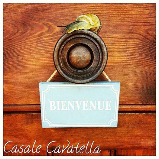 セルモネータ Casale Cavatella Bed & Breakfast エクステリア 写真