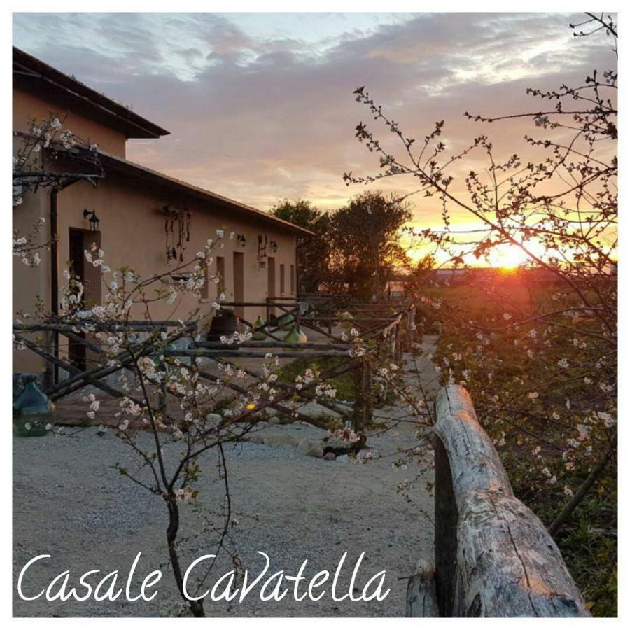 セルモネータ Casale Cavatella Bed & Breakfast エクステリア 写真