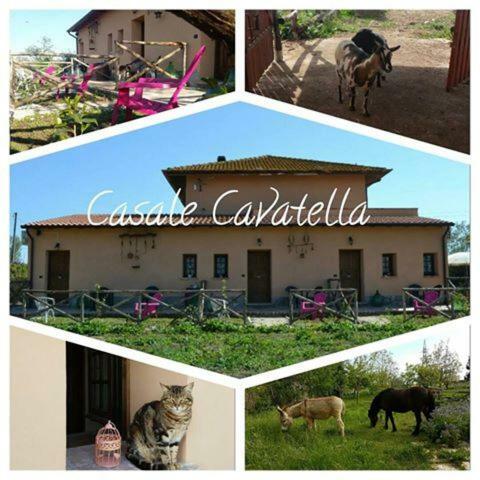 セルモネータ Casale Cavatella Bed & Breakfast エクステリア 写真